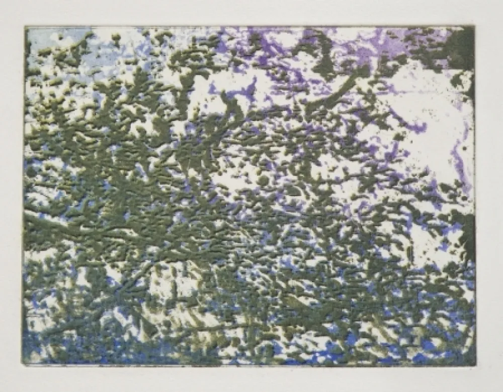 Монотип Tanguy - Mortefontaine 2