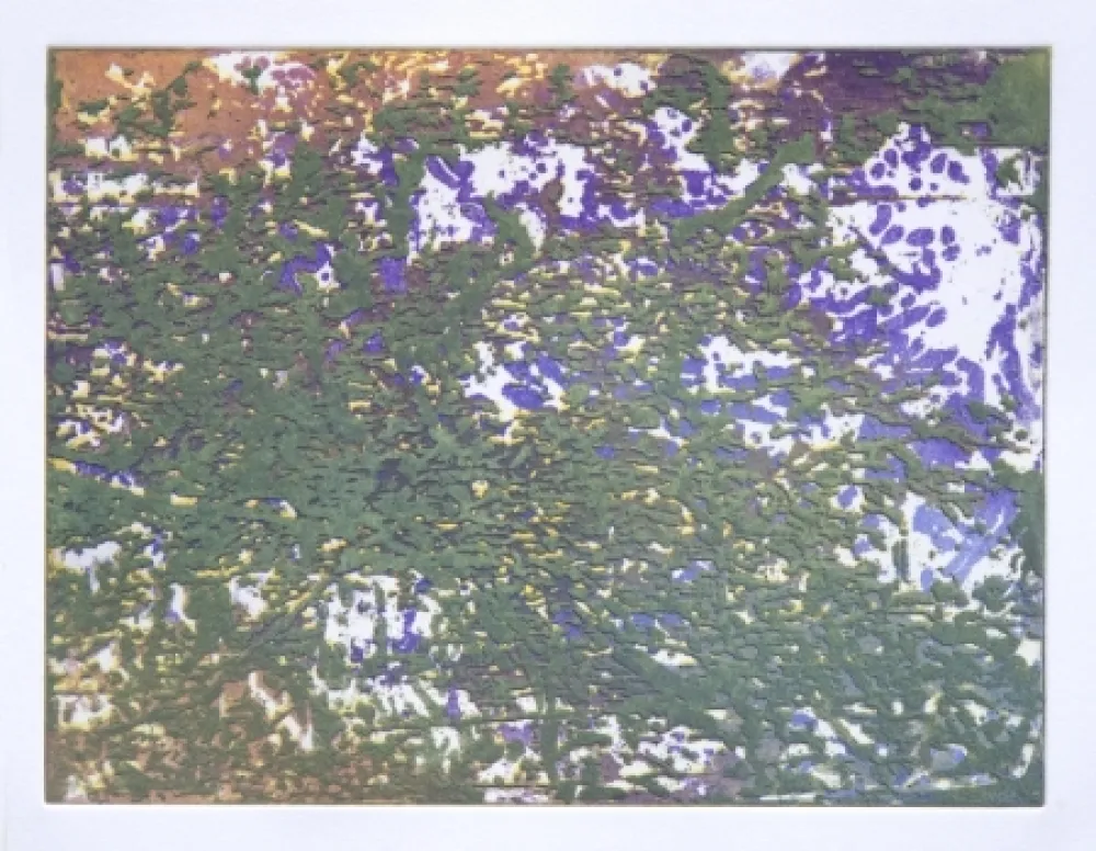 Монотип Tanguy - Mortefontaine 3