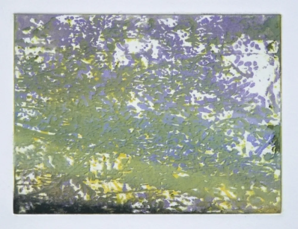 Монотип Tanguy - Mortefontaine 4