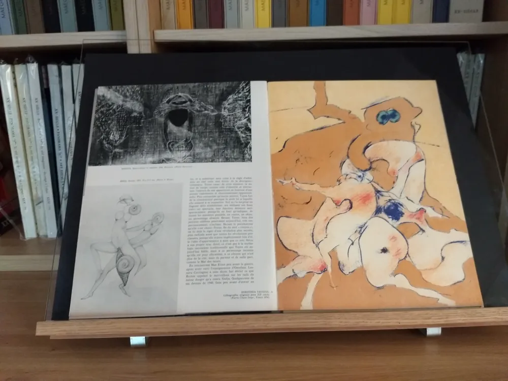 Иллюстрированная Книга Tanning - No 24