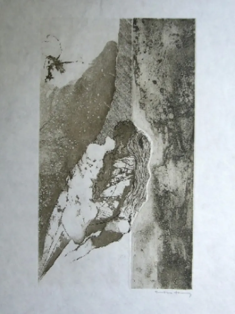 Акватинта Tanning - Sans titre