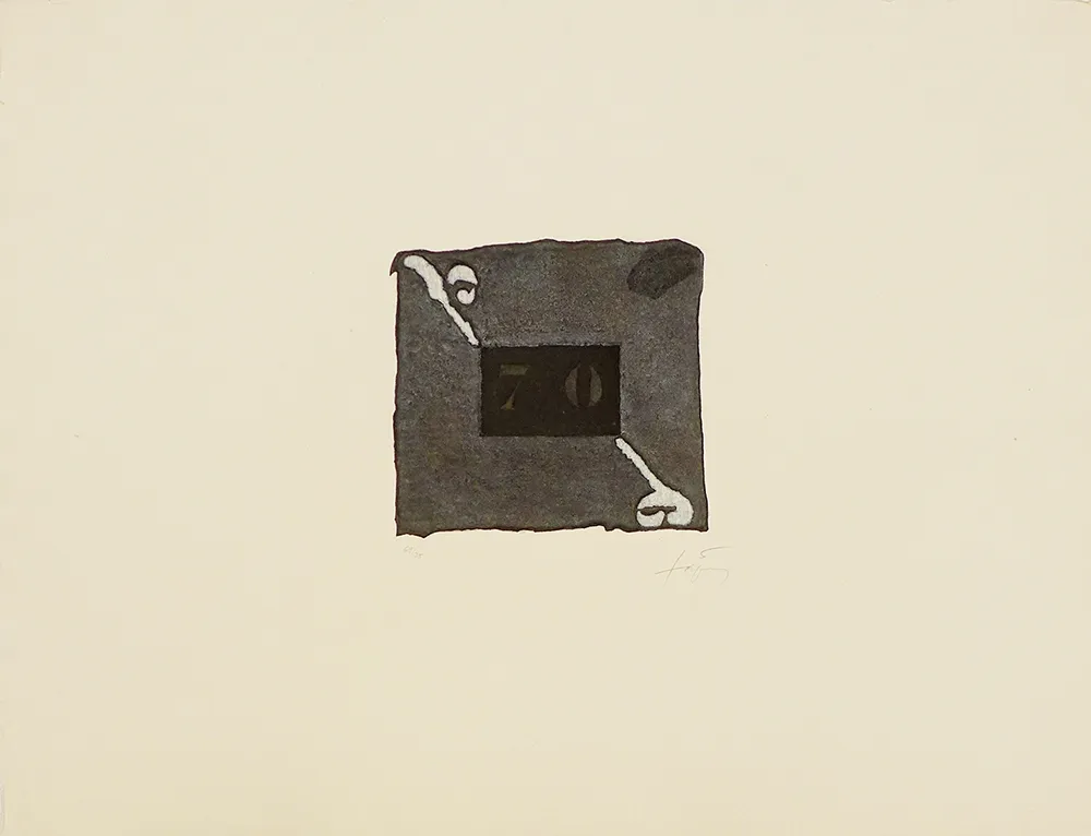 Карборунд Tàpies - 70