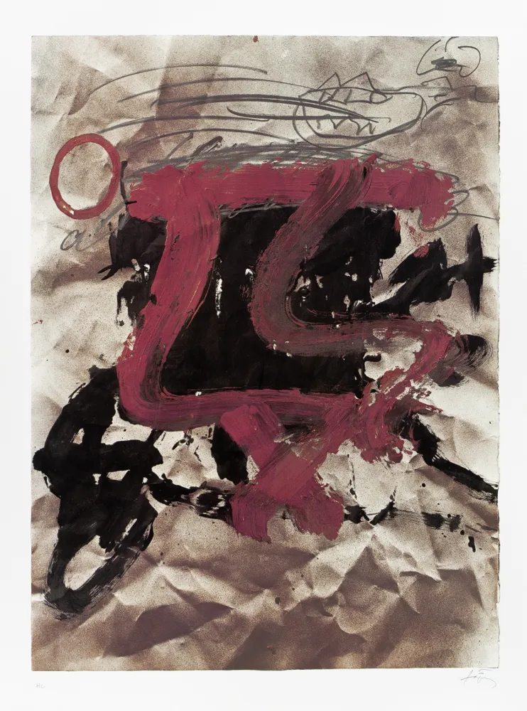 Гашение Tàpies - AVL Zurich