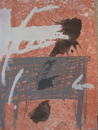 Офорт Tàpies - BOIS DES CERFS (Libro)