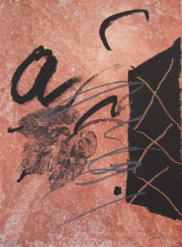 Офорт Tàpies - BOIS DES CERFS (Libro)