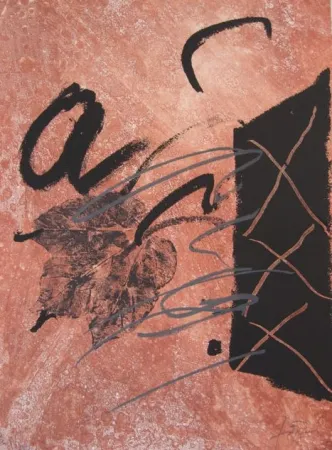 Офорт Tàpies - BOIS DES CERFS (Libro)