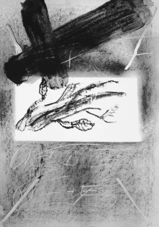 Литография Tàpies - Branca i creu