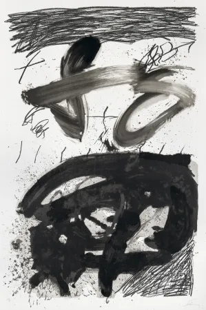 Литография Tàpies - Calligraphique