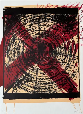 Литография Tàpies - Diana