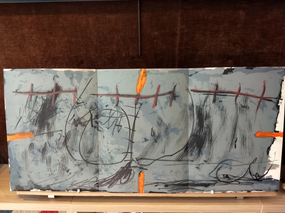 Иллюстрированная Книга Tàpies - DLM168