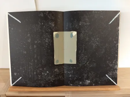 Иллюстрированная Книга Tàpies - DLM175