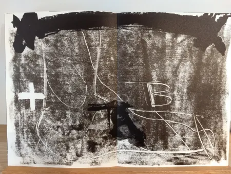 Иллюстрированная Книга Tàpies - DLM210