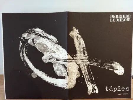 Иллюстрированная Книга Tàpies - DLM210