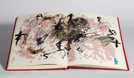 Иллюстрированная Книга Tàpies - Fregolí 