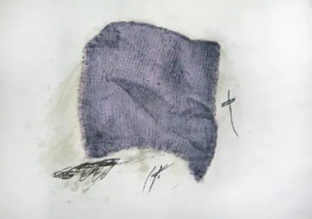 Офорт И Аквитанта Tàpies - La serpilière