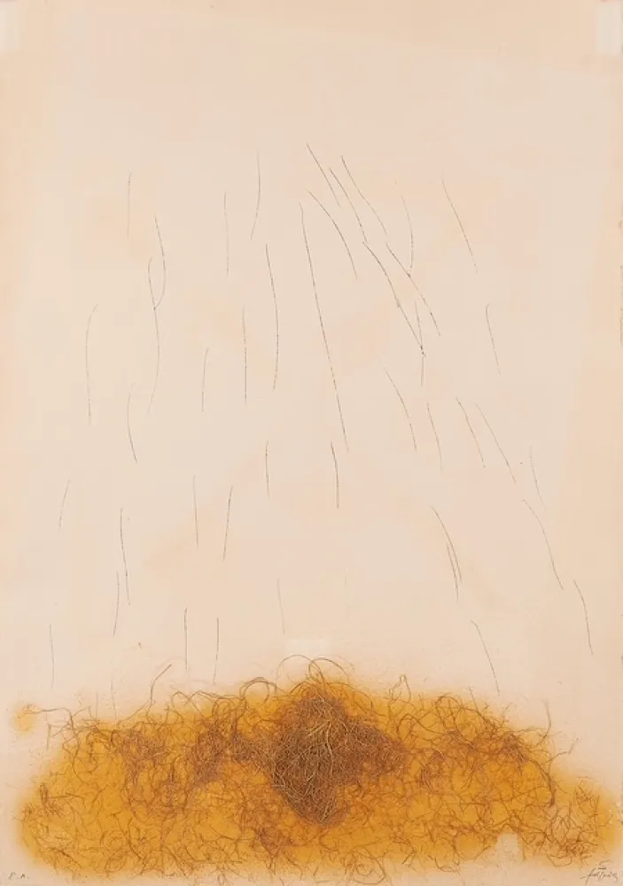 Офорт Tàpies - LE CRIN