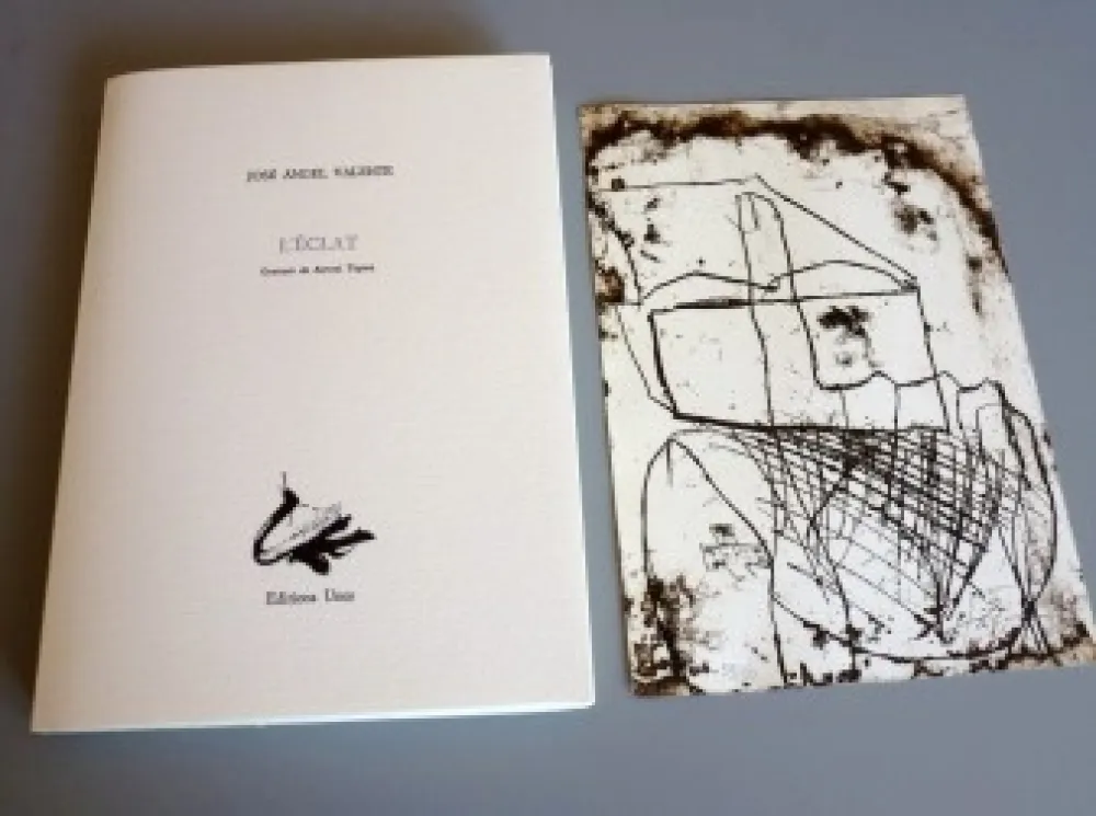 Иллюстрированная Книга Tàpies - L'éclat - Tàpies