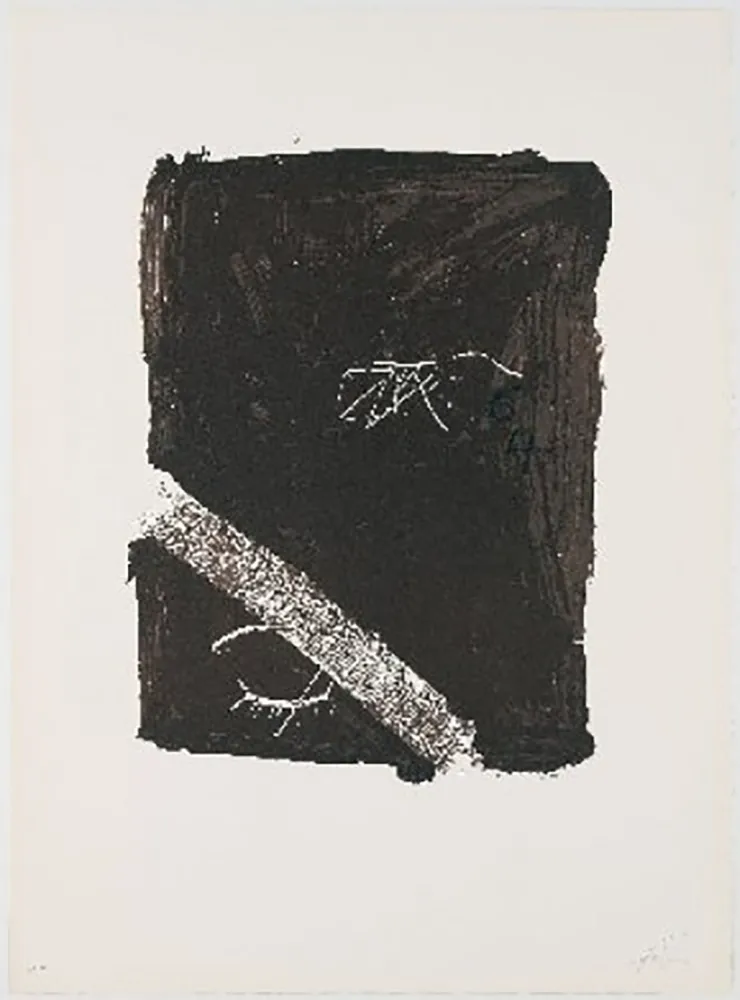 Литография Tàpies - Llambrec-5