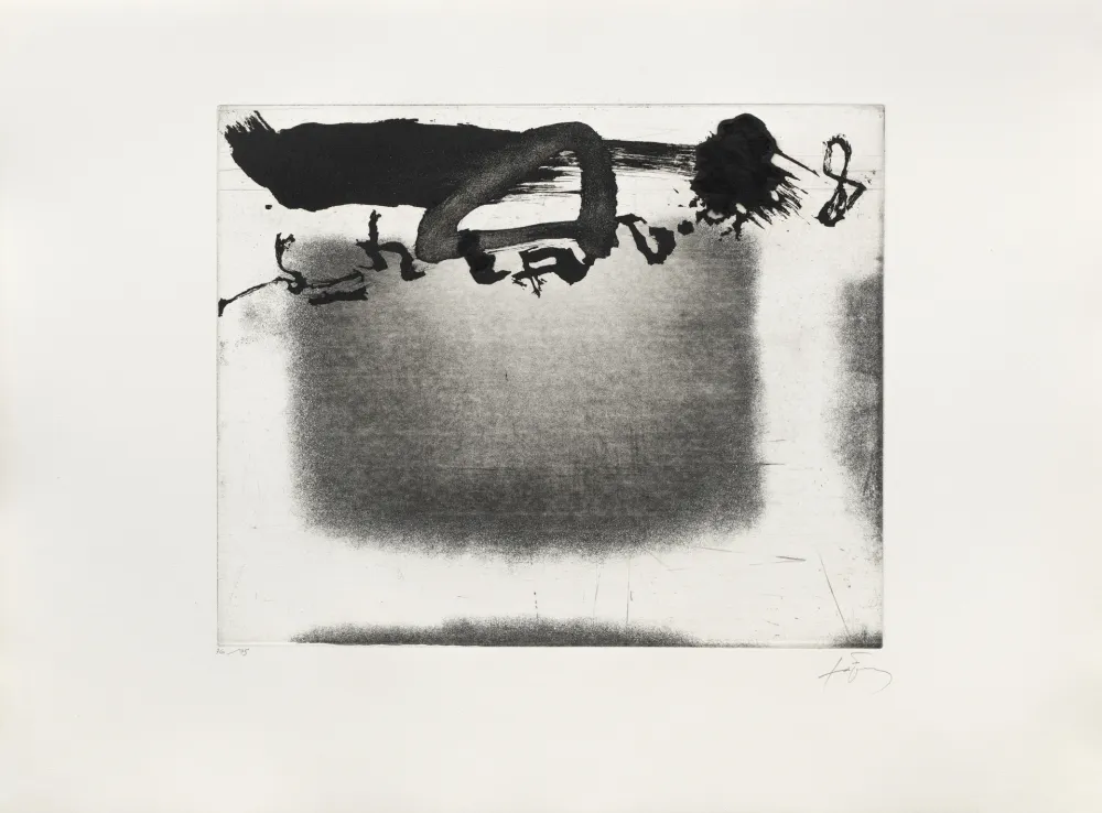 Гравюра Tàpies - Panier