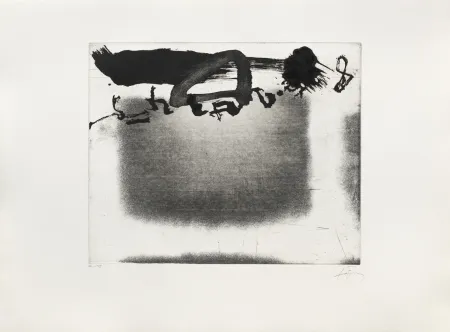 Гравюра Tàpies - Panier