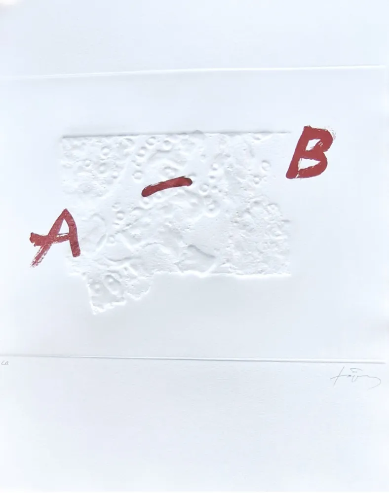 Гравюра Tàpies - Plus beau cadeau