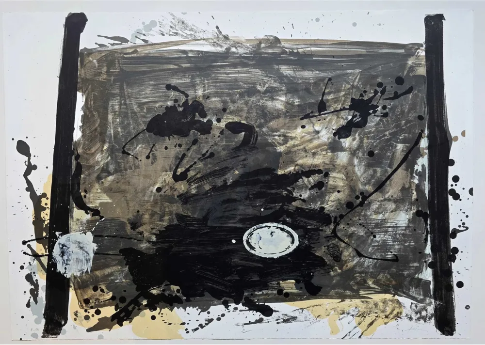Нет Никаких Технических Tàpies - Suite