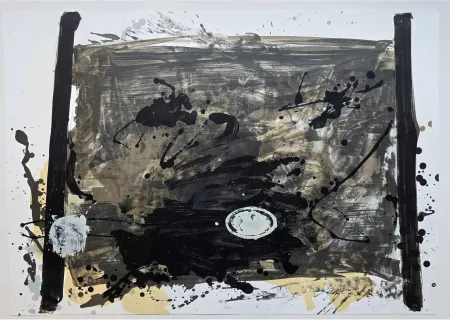 Нет Никаких Технических Tàpies - Suite