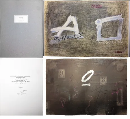 Иллюстрированная Книга Tàpies - TÀPIES. 