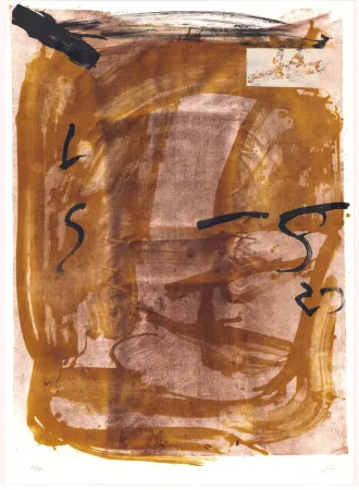 Литография Tàpies - Variations