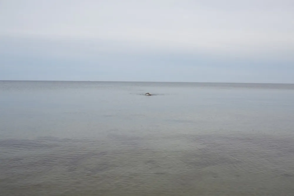 Нет Никаких Технических Teller - Swimming, Glemmingebro, Sweden 2015