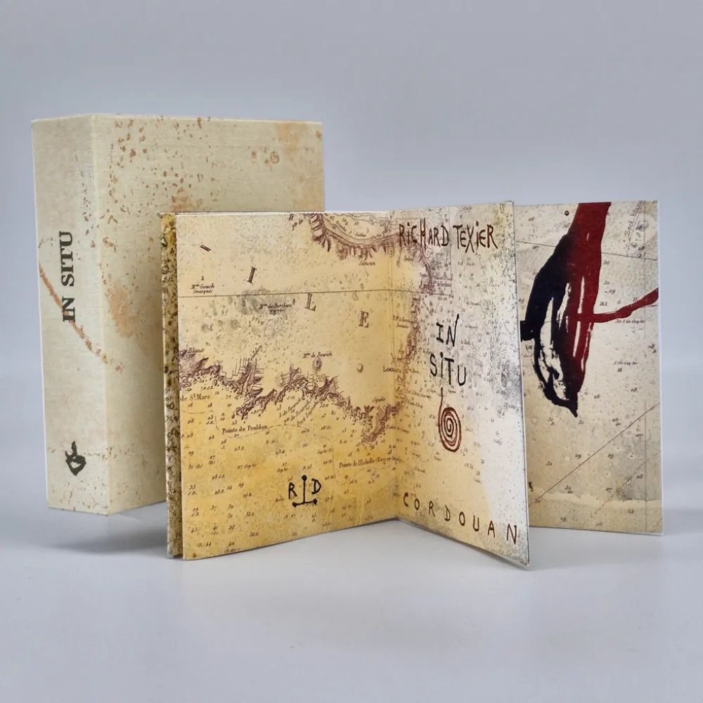 Иллюстрированная Книга Texier - In situ