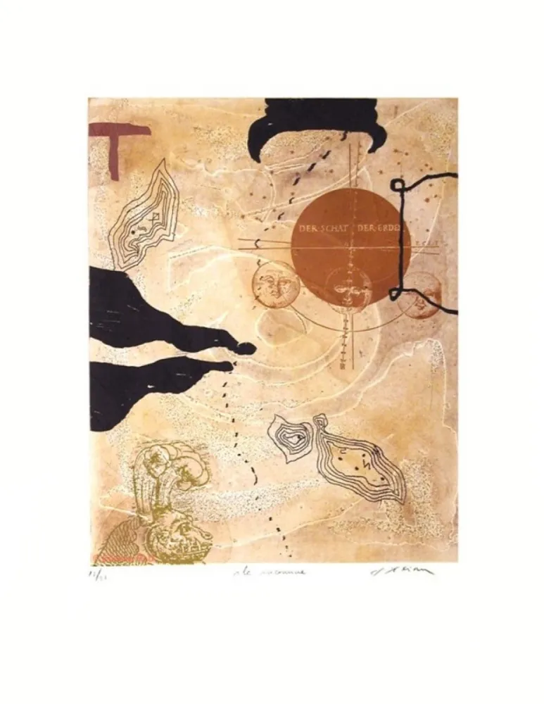 Гравюра Texier - L'île inconnue