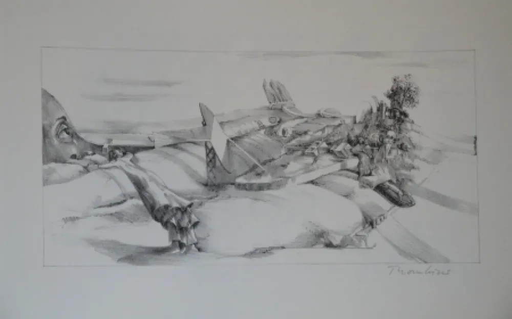 Литография Thomkins - 