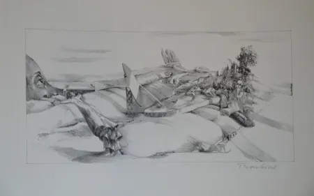 Литография Thomkins - 