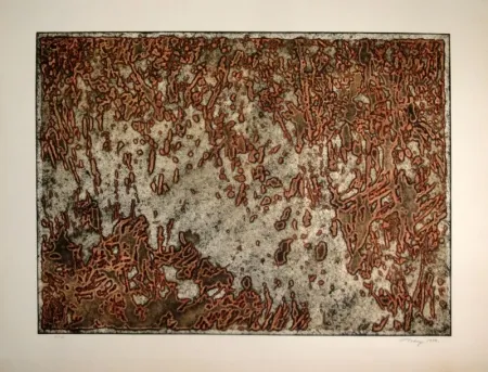 Акватинта Tobey - Message from a desert Star