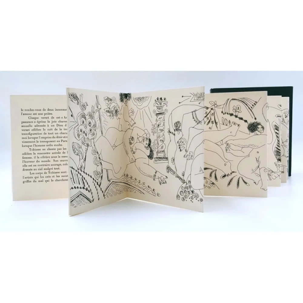 Иллюстрированная Книга Tobiasse - Amour couleur de Psaumes