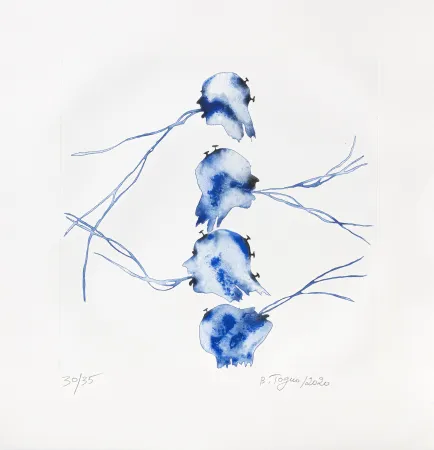 Гравюра Toguo - Bénoué