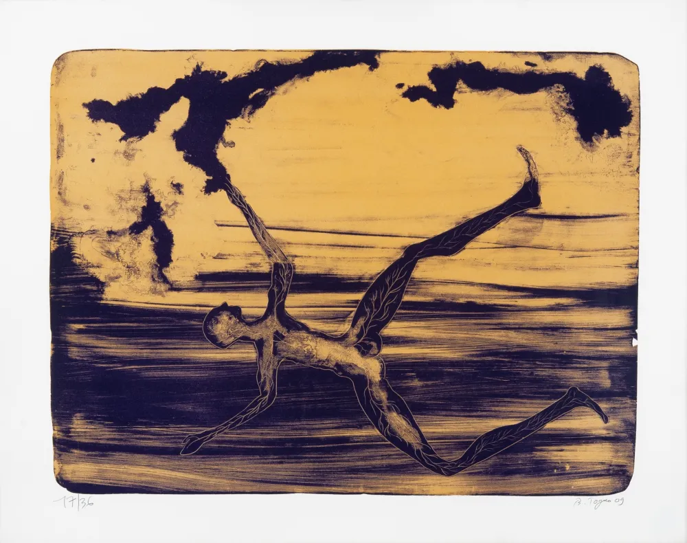 Литография Toguo - Spring cleaning