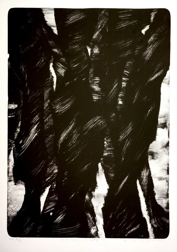 Литография Tøjner - Dark shadows of central park