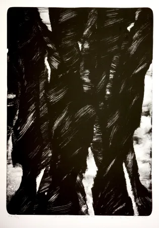 Литография Tøjner - Dark shadows of central park