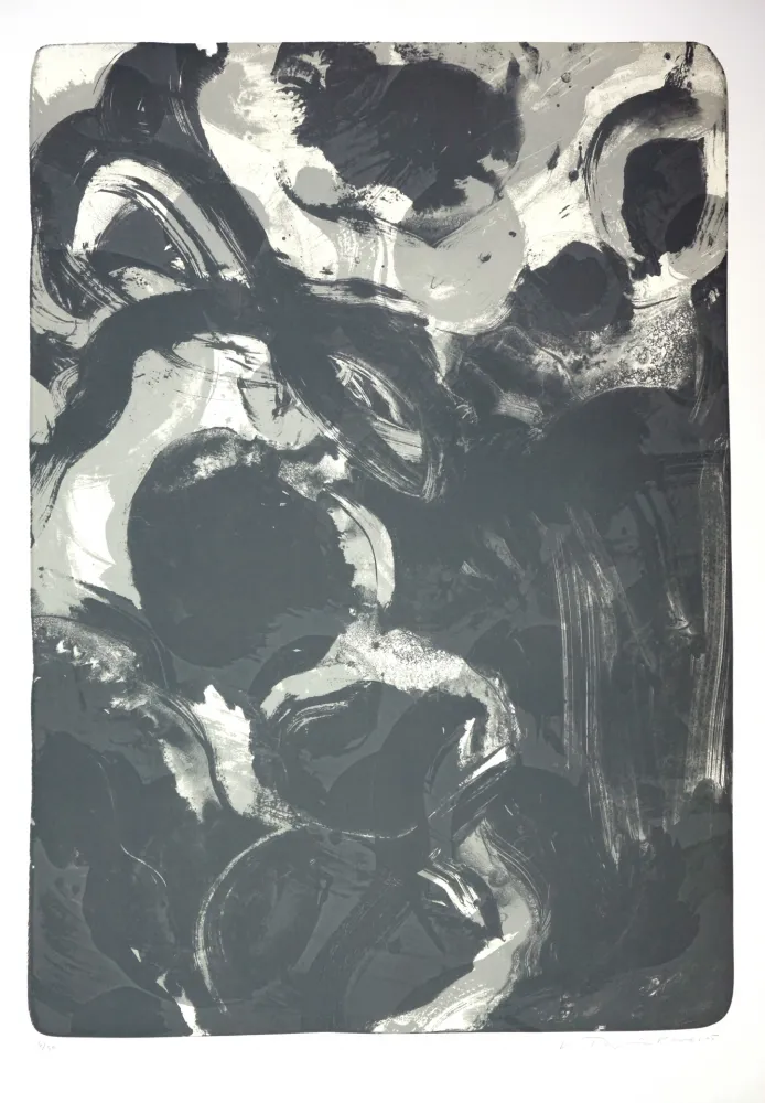 Литография Tøjner - Recherche de formes dispersées IV