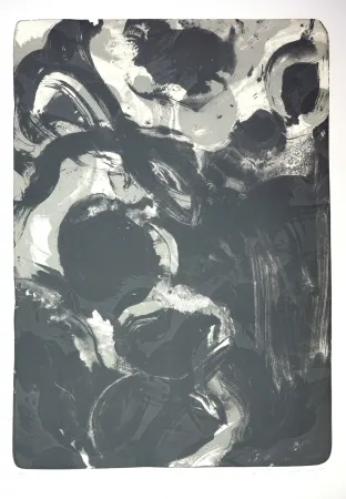 Литография Tøjner - Recherche de formes dispersées IV