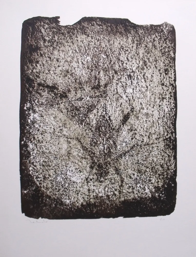 Литография Toledo - Plaga