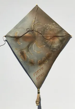 Нет Никаких Технических Toledo - Spiders with Web Kite