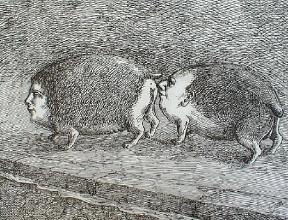 Гравюра Topor - Senza titolo