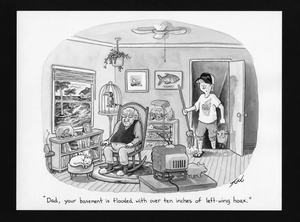 Нет Никаких Технических Toro - Left-Wing Hoax