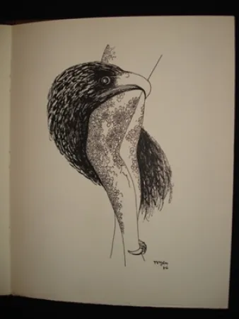 Иллюстрированная Книга Toyen - Le puits dans la tour / TOYEN. Débris de rêves