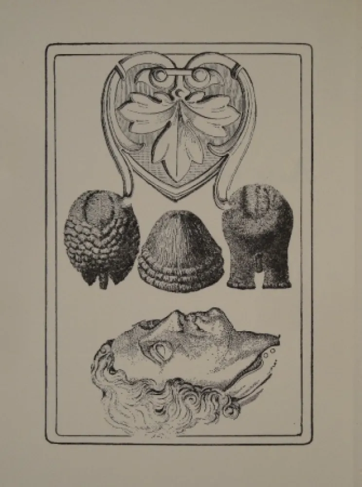 Иллюстрированная Книга Toyen - Le Roi Gordogane