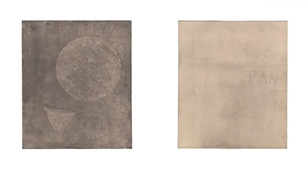 Многоэкземплярное Произведение Treleaven - The great pan is dead