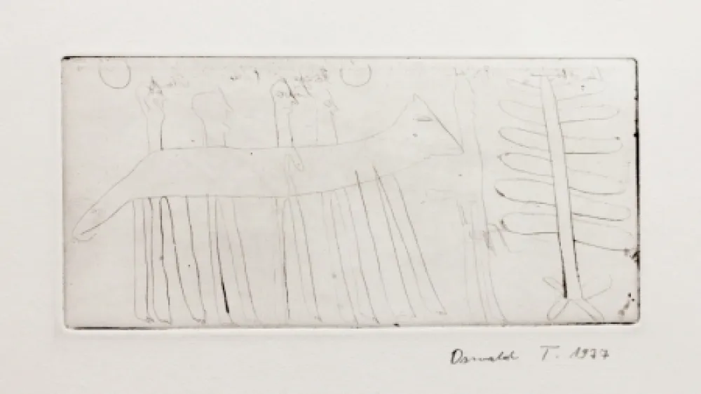 Гравюра Tschirtner - Hase (Hare)